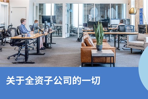 全资子公司最佳实践与 7 大要点