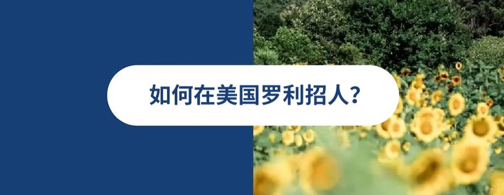 2025 年美国罗利雇佣指南
